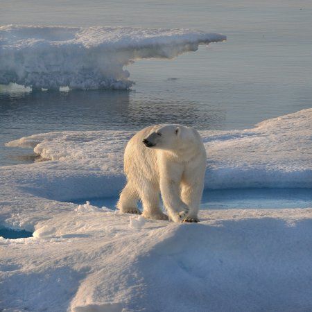 Norm Neilson Fine Art Photography